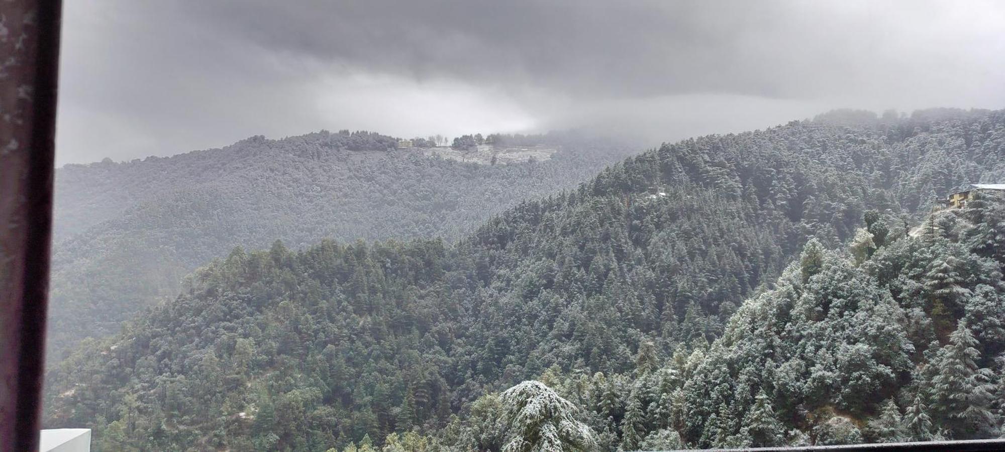 Summer Hill Resort Chail Exterior photo